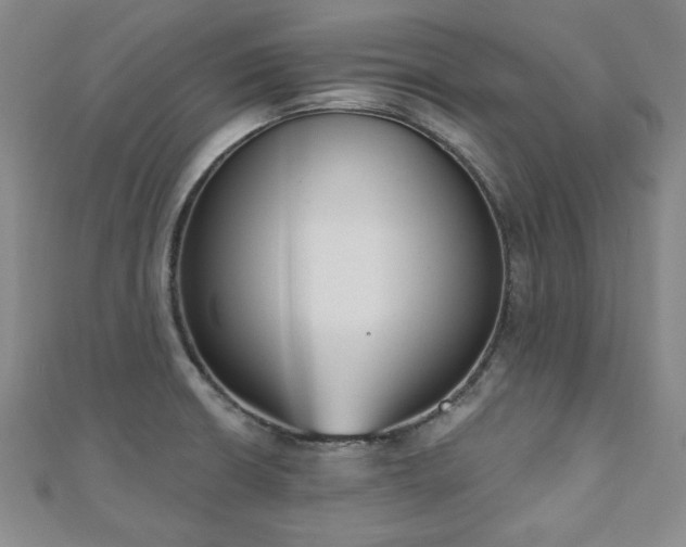 X0000110861426200906181132