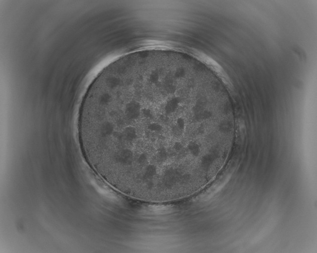X0000110861427200906181132