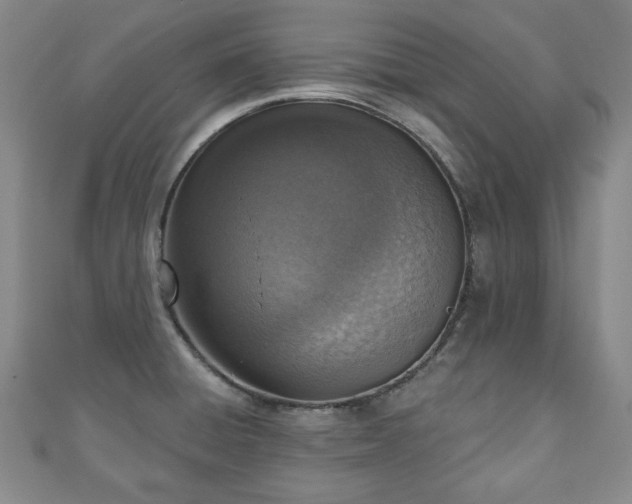 X0000110861428200906181132