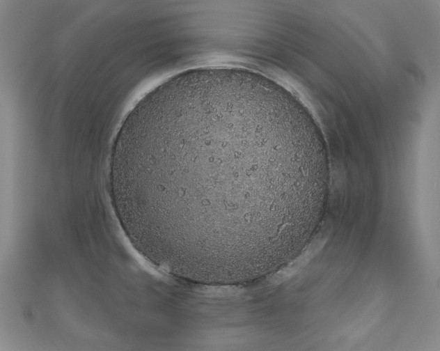 X0000110861429200906181132