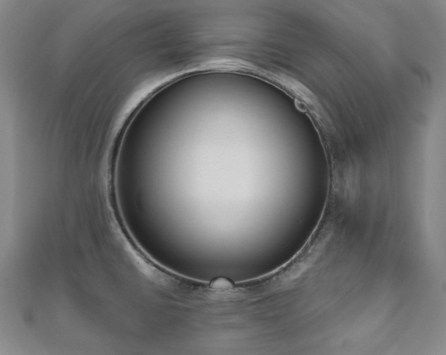 X0000110861430200906181132