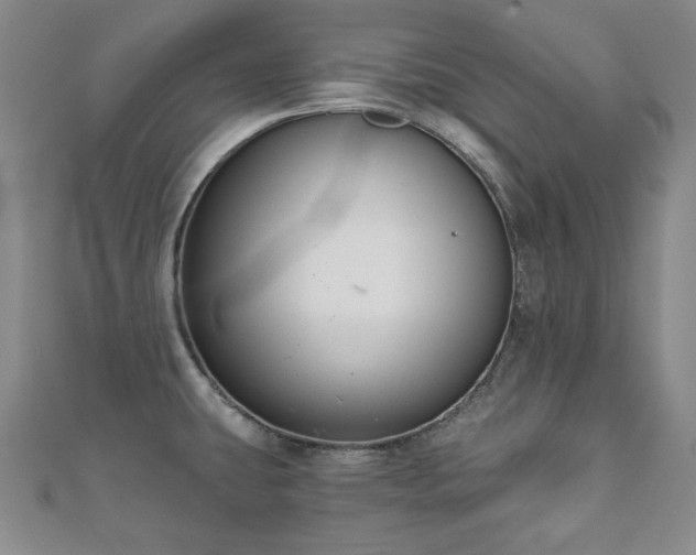 X0000110861431200906181132