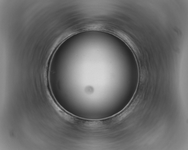 X0000110861434200906181132