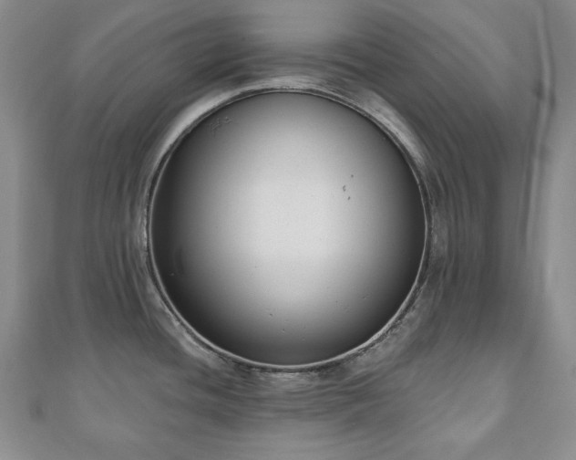 X0000110861436200906181132