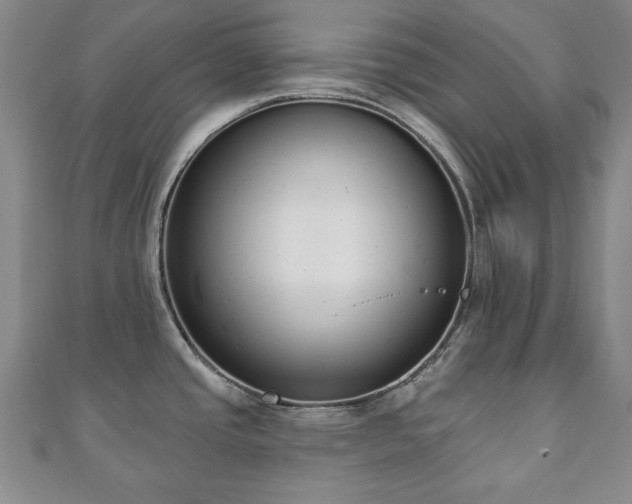 X0000110861437200906181132