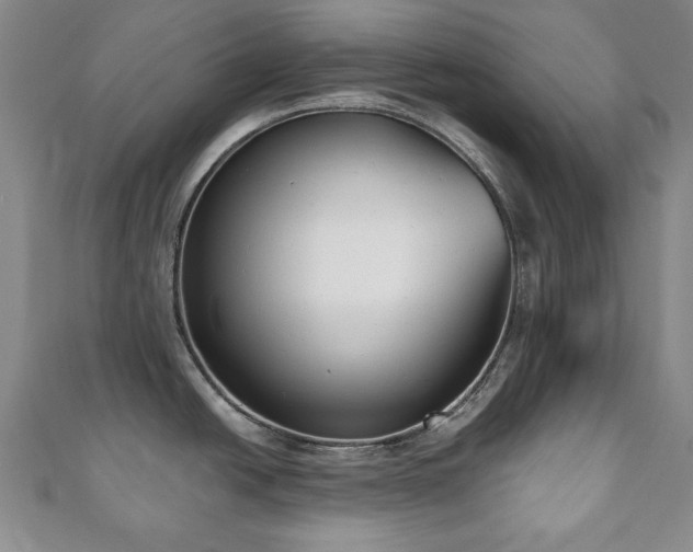 X0000110861438200906181132