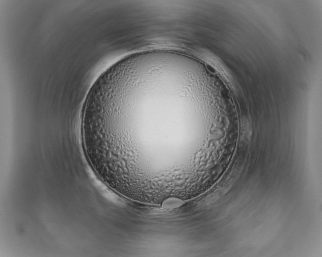 X0000110861439200906181132