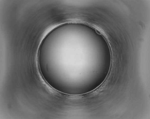 X0000110861440200906181132