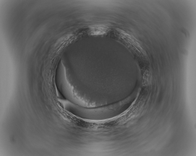 X0000110861441200906181132