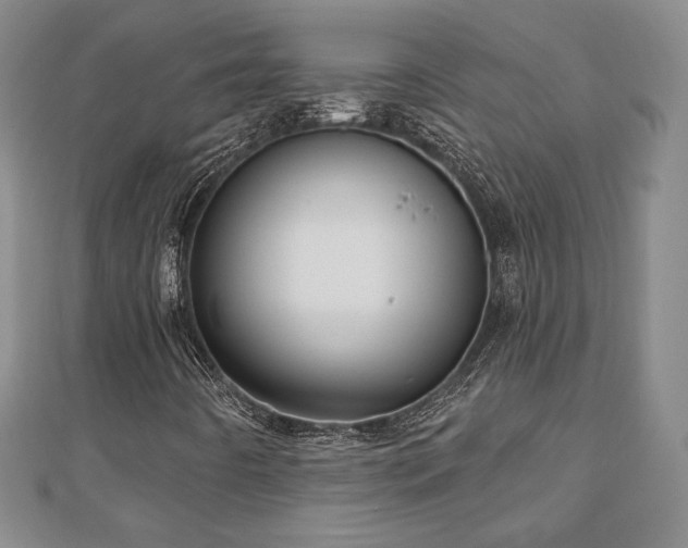 X0000110861442200906181131