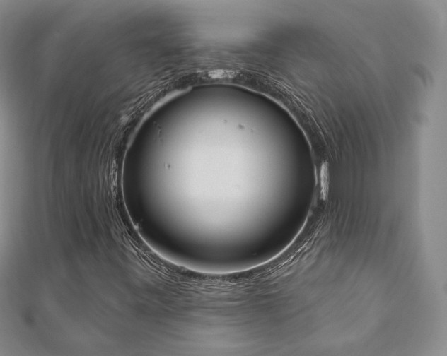 X0000110861443200906181131