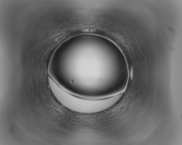 X0000110861444200906181131