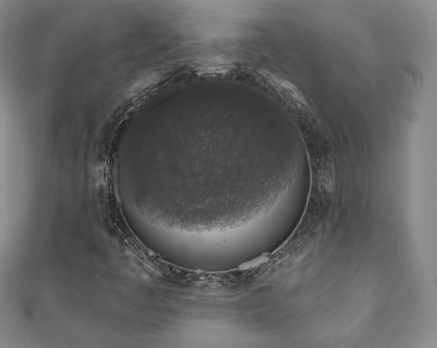 X0000110861445200906181131