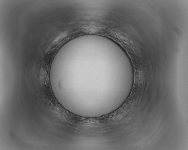 X0000110861446200906181131