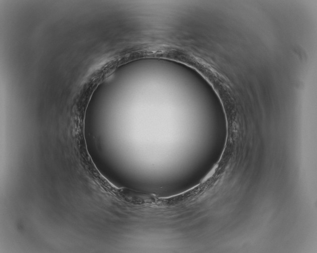 X0000110861447200906181131