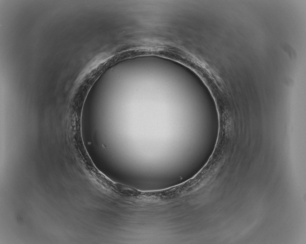 X0000110861448200906181131