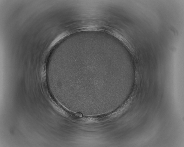 X0000110861450200906181131