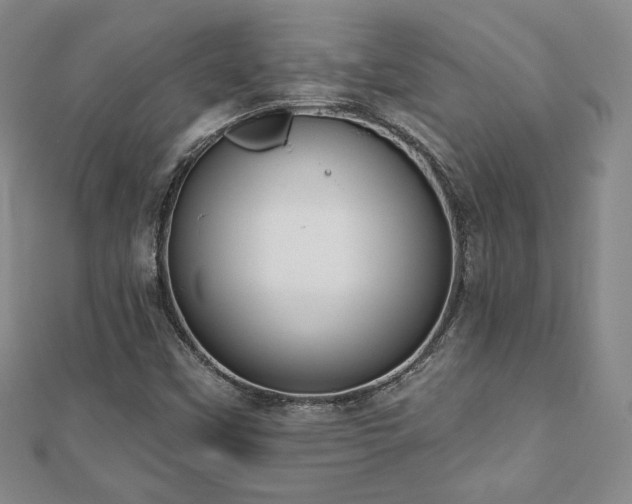 X0000110861451200906181131