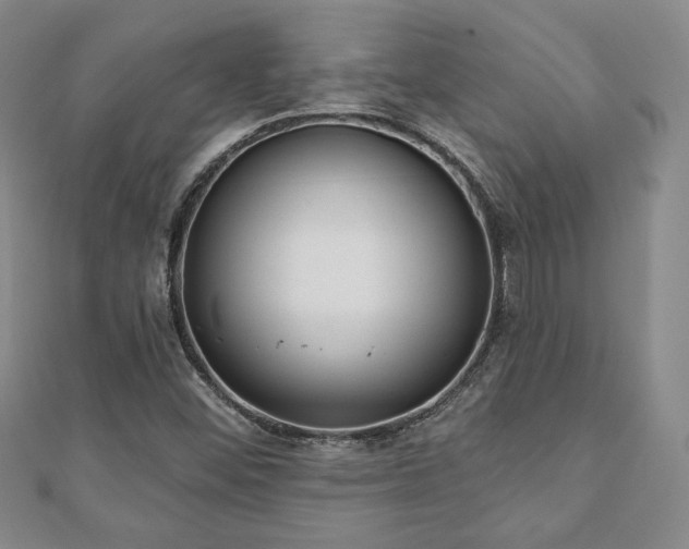 X0000110861452200906181131