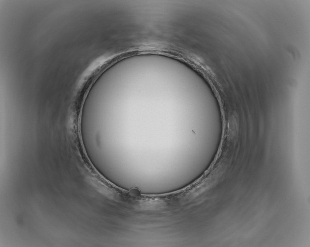 X0000110861454200906181131