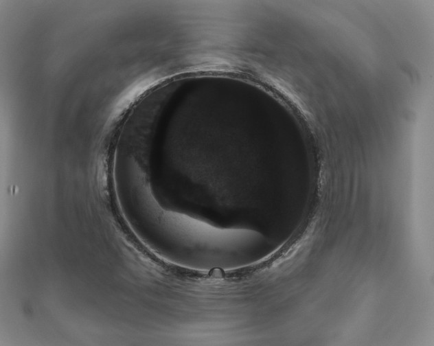 X0000110861455200906181131