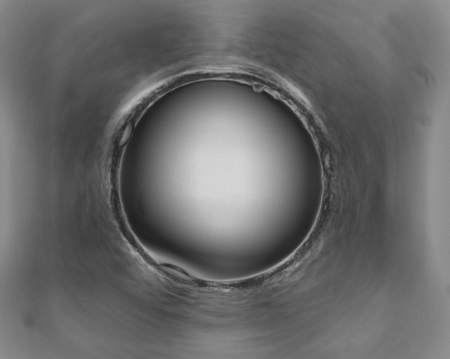 X0000110861456200906181131