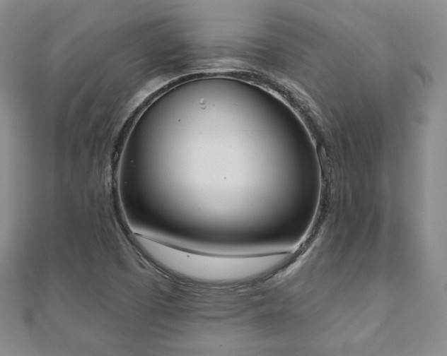 X0000110861457200906181131