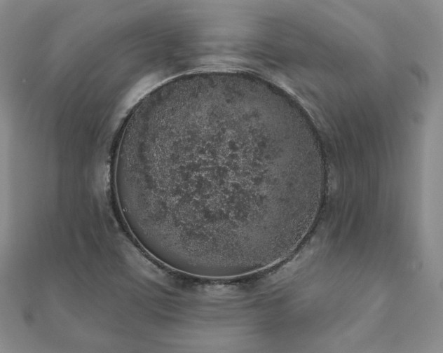 X0000110861459200906181131