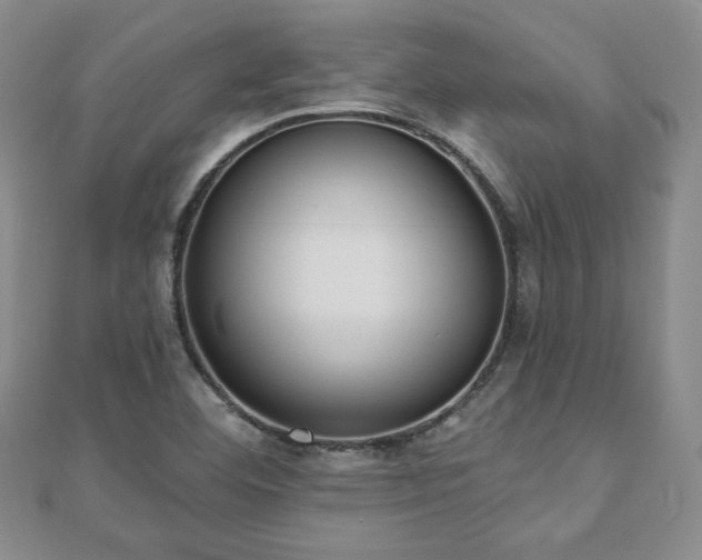 X0000110861460200906181131