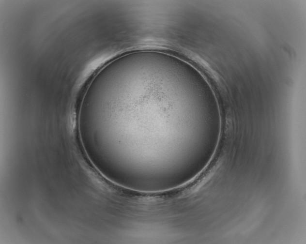 X0000110861461200906181131