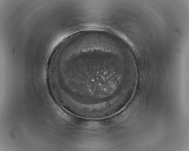 X0000110861463200906181131