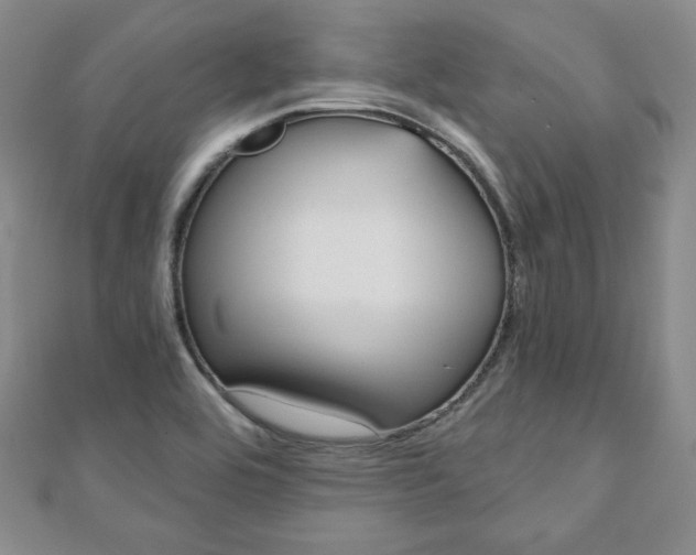 X0000110861464200906181131