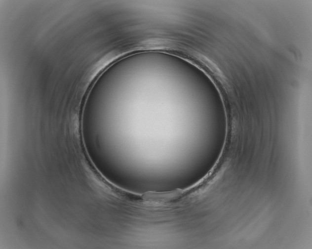 X0000110861465200906181131