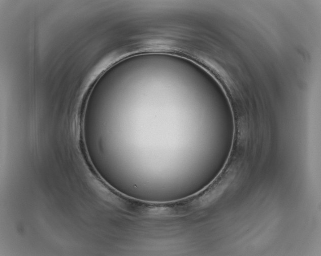 X0000110861467200906181131