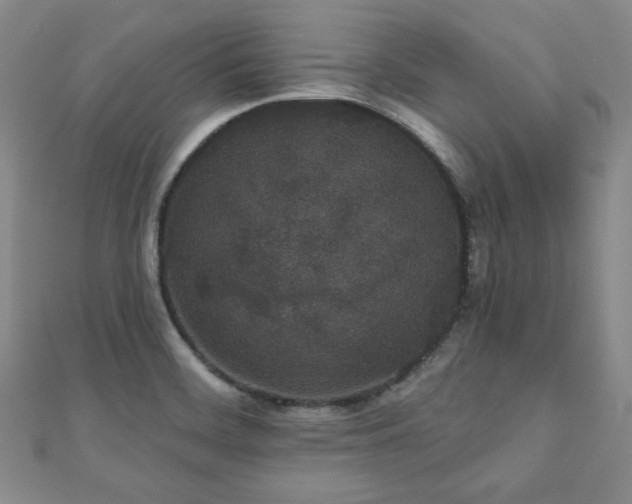 X0000110861468200906181131