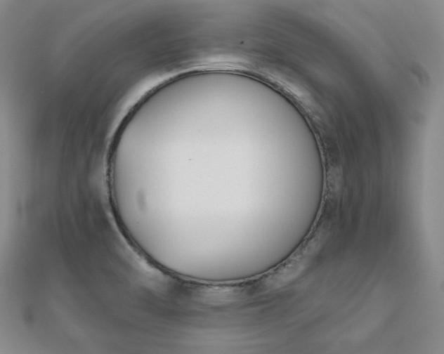 X0000110861470200906181131