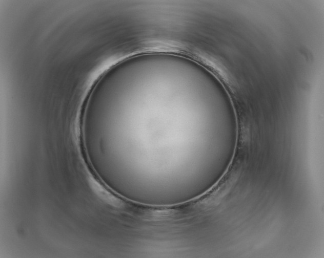 X0000110861471200906181131