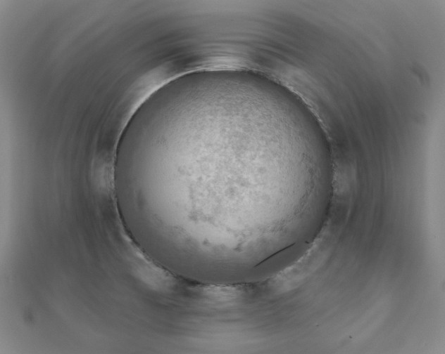 X0000110861473200906181131