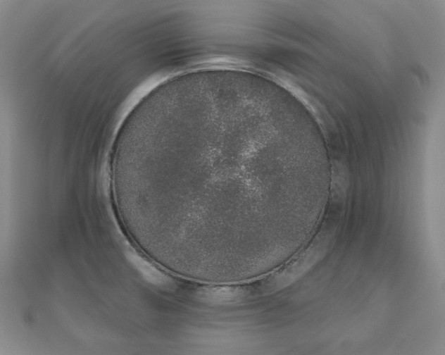 X0000110861474200906181131