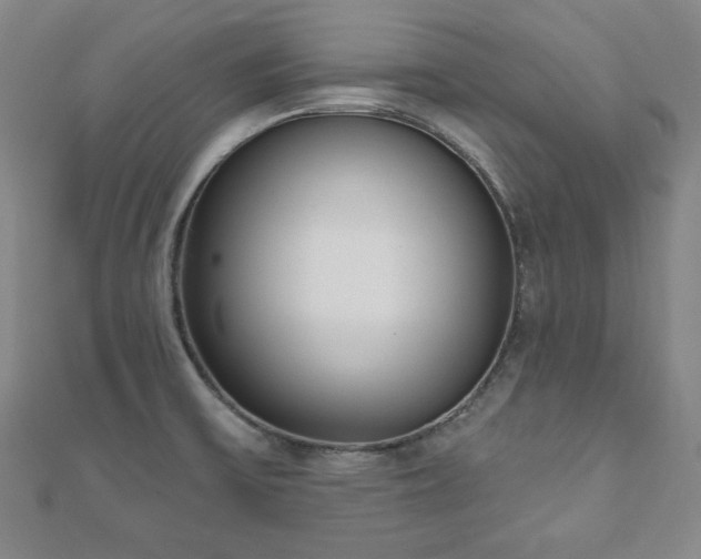 X0000110861475200906181131