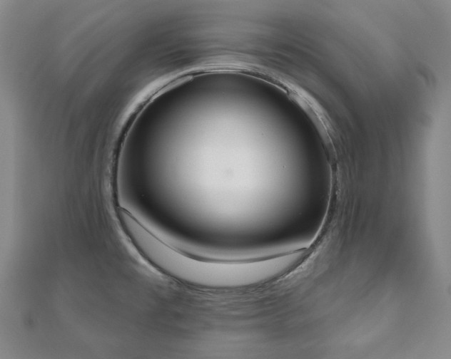 X0000110861477200906181131
