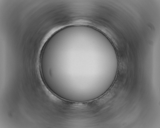 X0000110861478200906181131