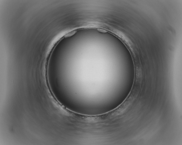 X0000110861480200906181131