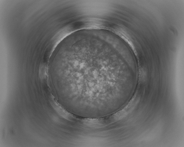 X0000110861481200906181131