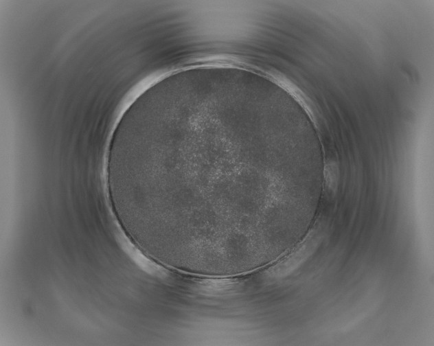 X0000110861482200906181131