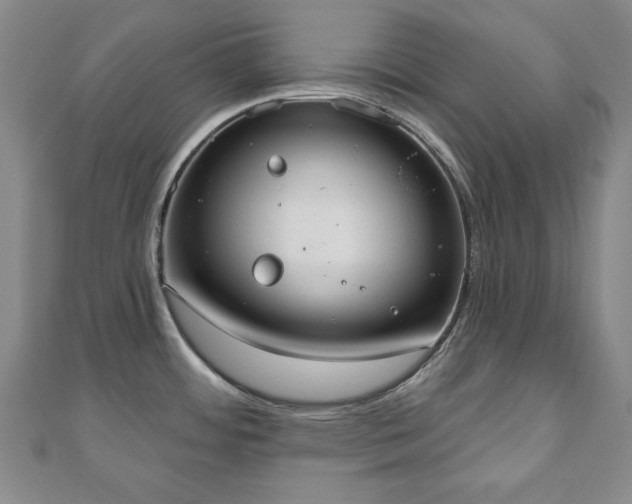 X0000110861484200906181131