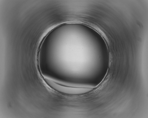 X0000110861485200906181131