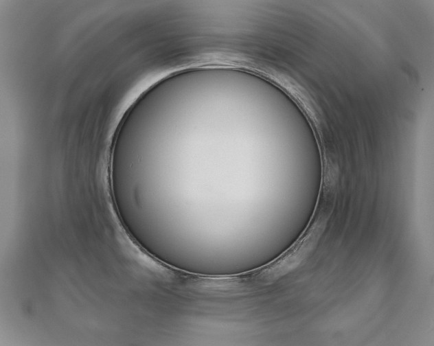 X0000110861486200906181131