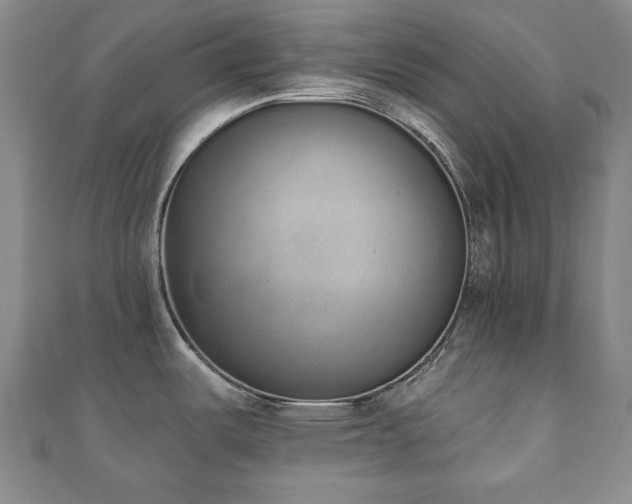 X0000110861487200906181131