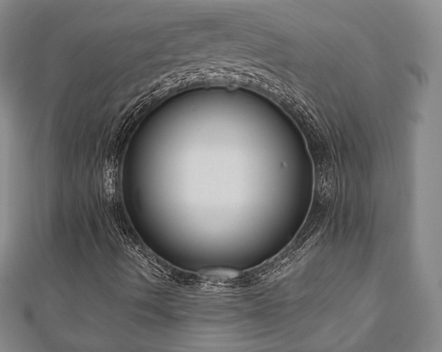 X0000110861490200906181130